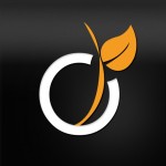 logo_viadeo-150x150